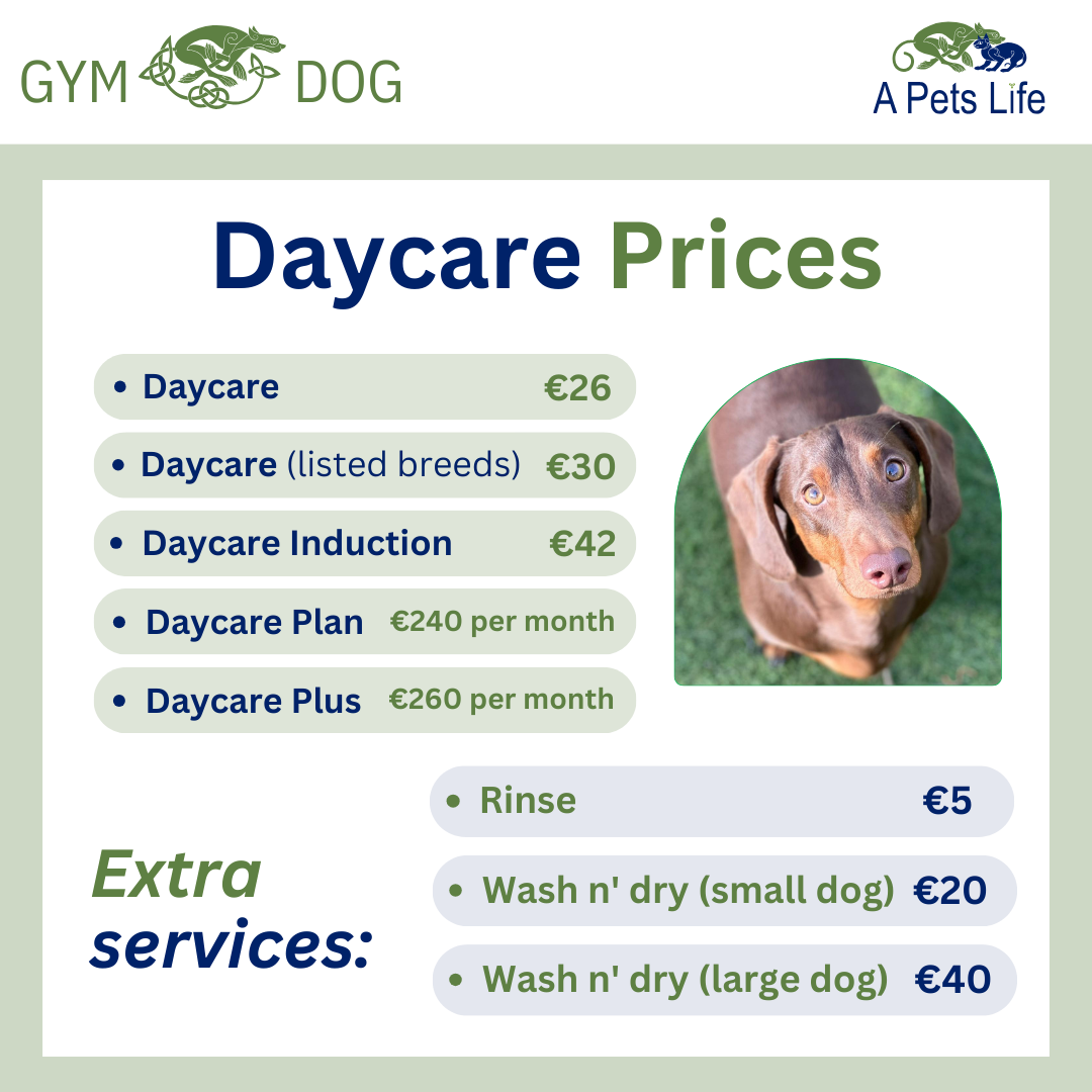 daycareprices