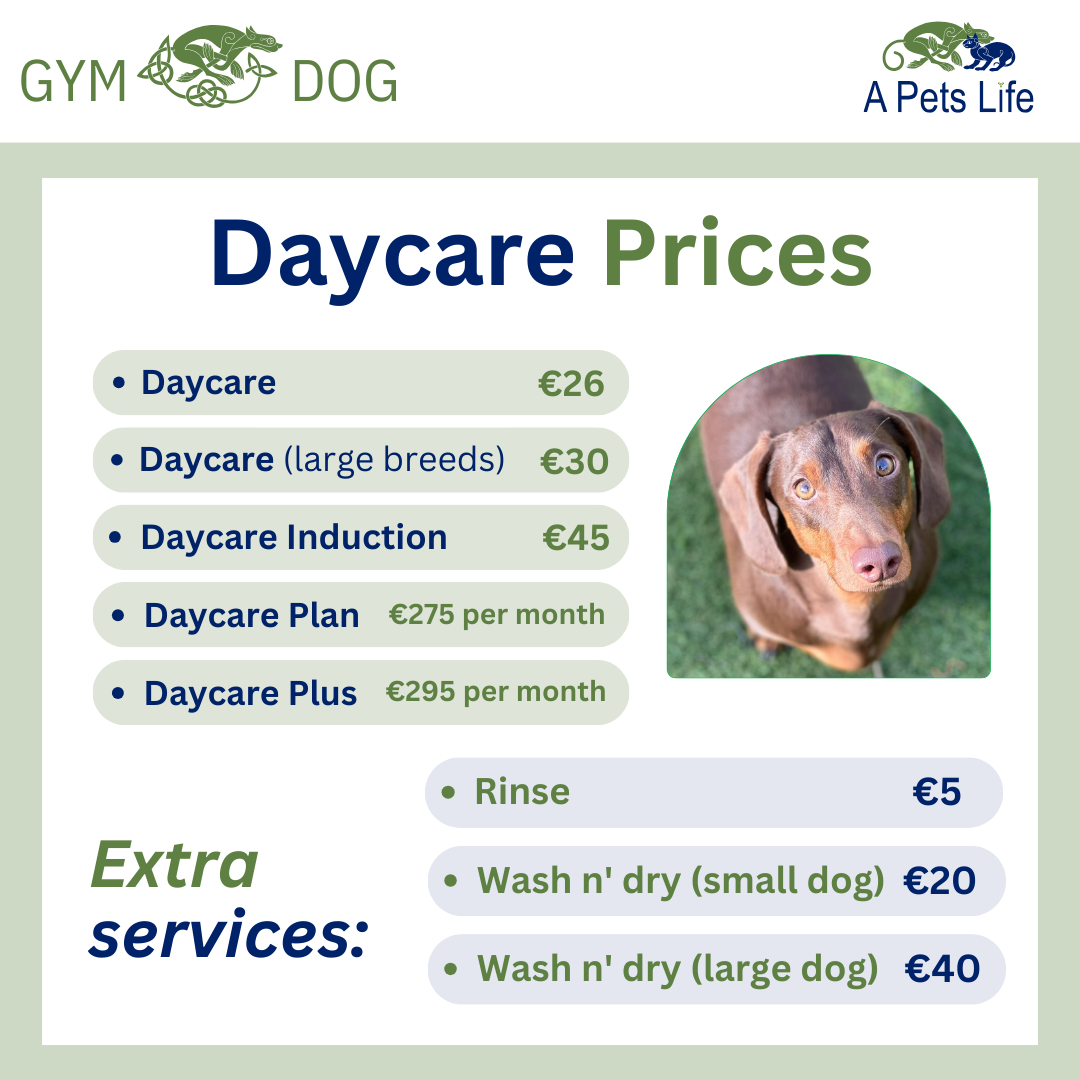 daycare