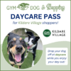 Gym Dog & Shopping Day Pass