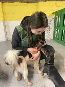 IMG 20250307 WA0008