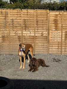 IMG 20250325 WA0001