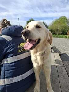 20250401 110946 20250401 110946