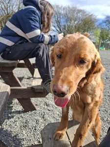 20250401 111223 20250401 111223