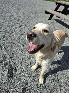 20250401 111033 20250401 111033