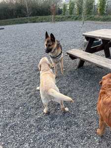 IMG 20250403 WA0115