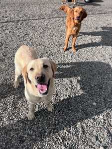 IMG 20250403 WA0114
