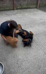 IMG 20250711 WA0001 IMG 20250711 WA0001