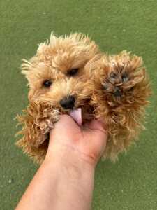 IMG 20250807 WA0002 IMG 20250807 WA0002