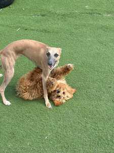 IMG 20250807 WA0005 IMG 20250807 WA0005