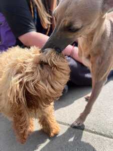 IMG 20250805 WA0003 IMG 20250805 WA0003