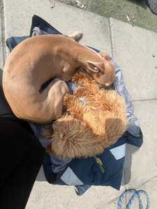 IMG 20250805 WA0002 IMG 20250805 WA0002