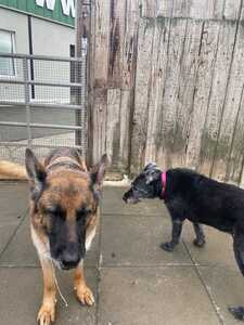 IMG 20250828 WA0004(1)